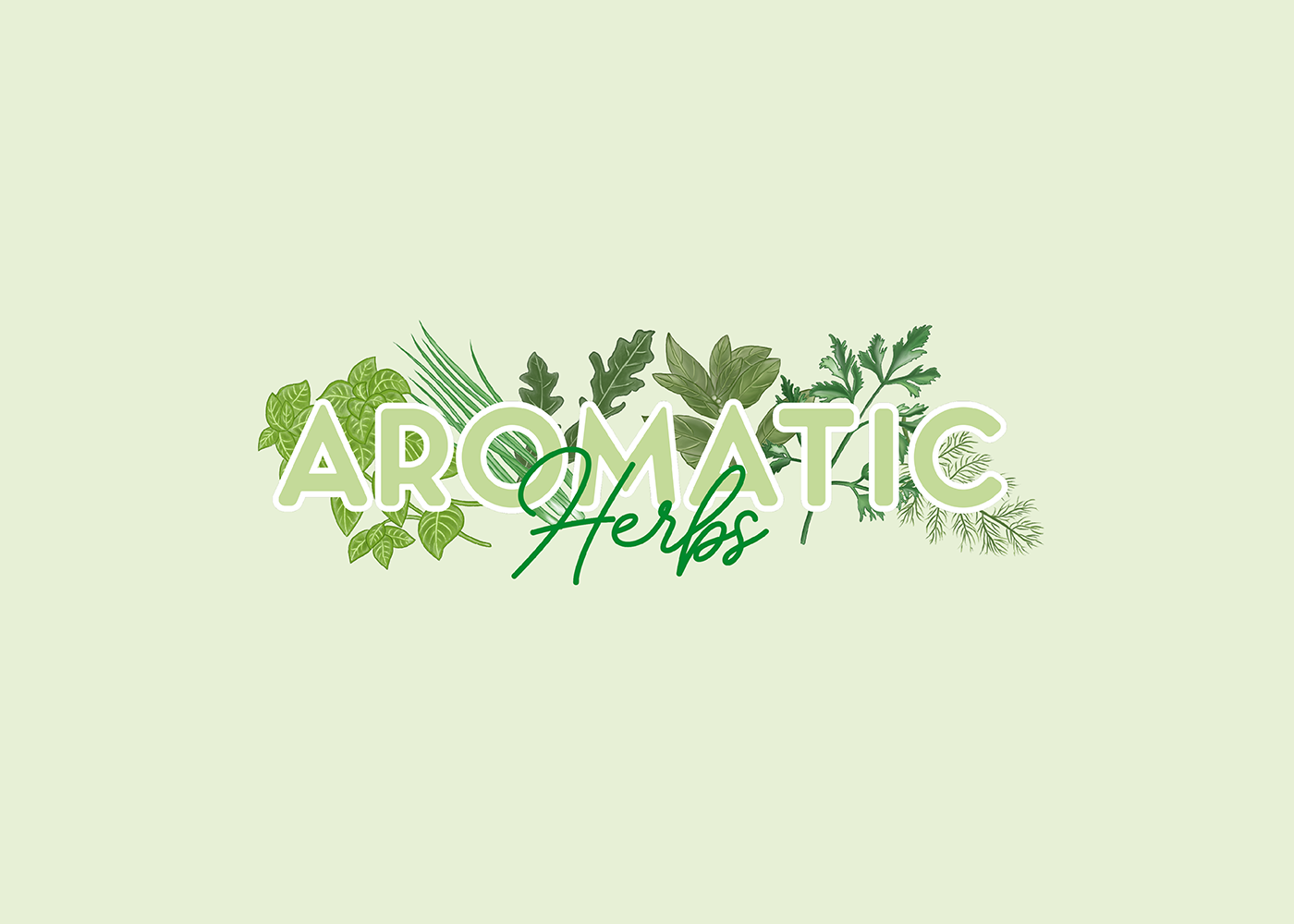 Aromatic Herbs